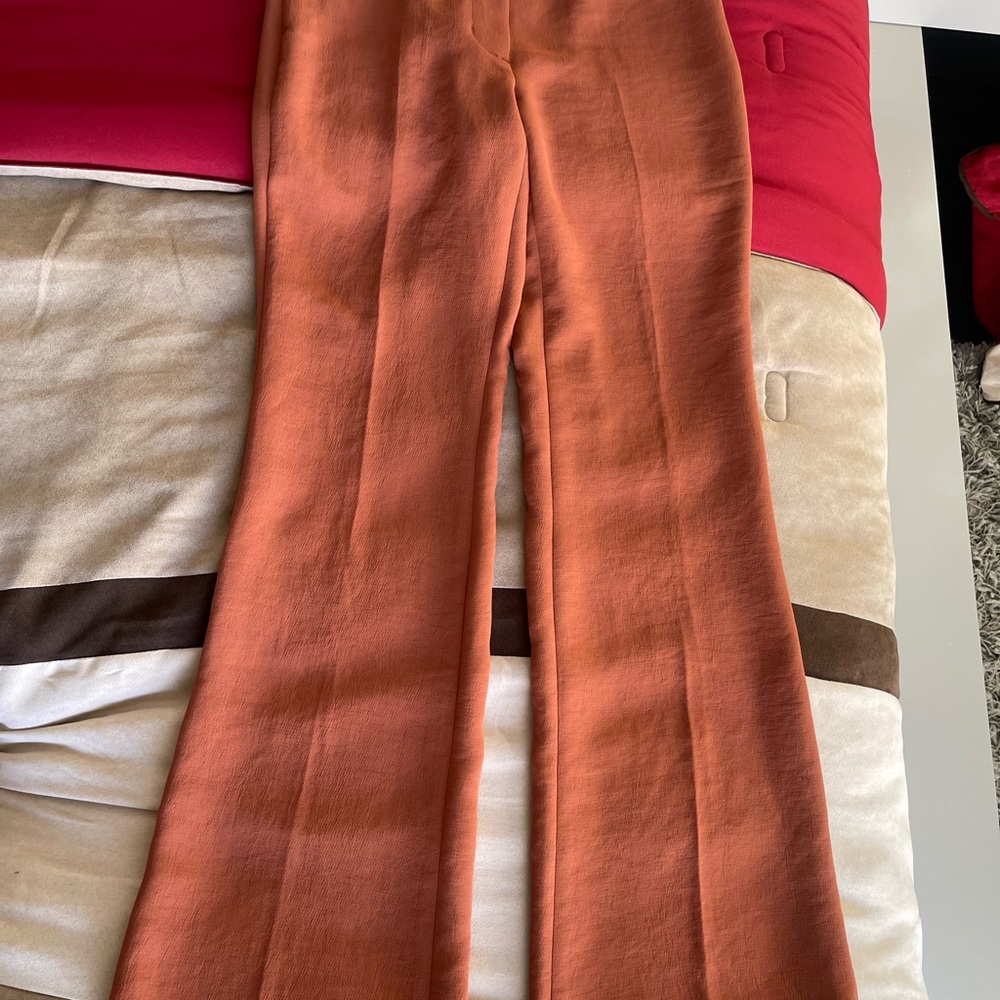Aritzia Terracotta Wide Leg Pants